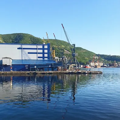 Для климата в Петропавловске-Камчатском